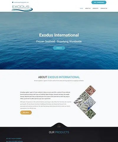 Website developed for Exodus International