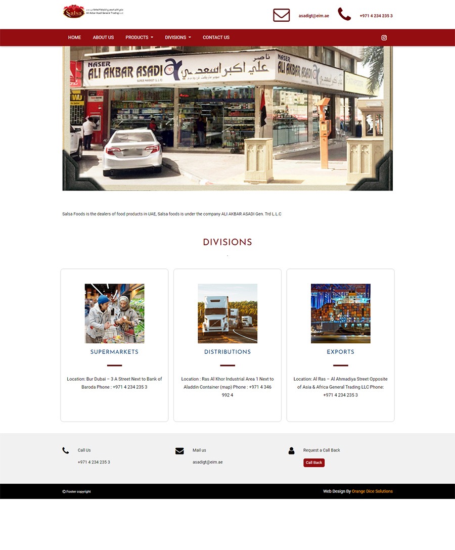 Website developed for Salsa Foods